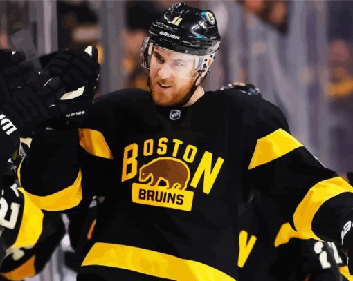 Boston Bruins Hockey Player paint by numbers