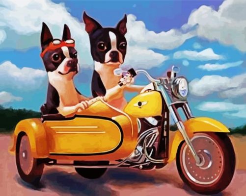 Boston Terrier Riding A Motorcycle paint by numbers