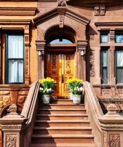 Brownstone And Wooden Door paint by numbers