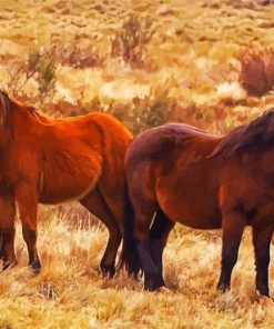 Brumby Horses Herd paint by numbers