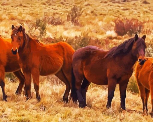 Brumby Horses Herd paint by numbers