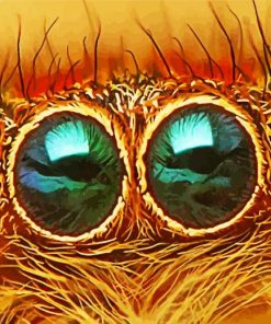 Close Up Spider Eyes paint by numbers