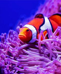 Clownfish Between Anemones paint by numbers