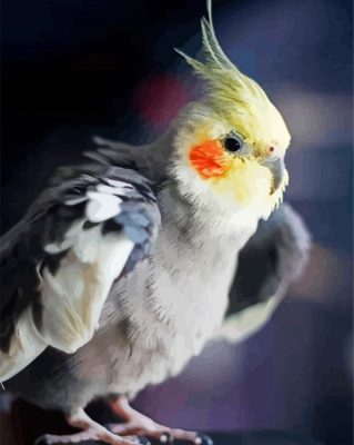 Adorable Cockatiel Bird paint by numbers
