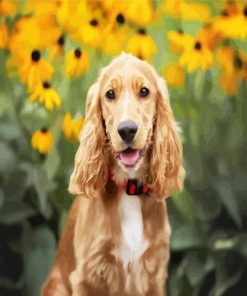 Adorable Cocker Spaniel paint by numbers