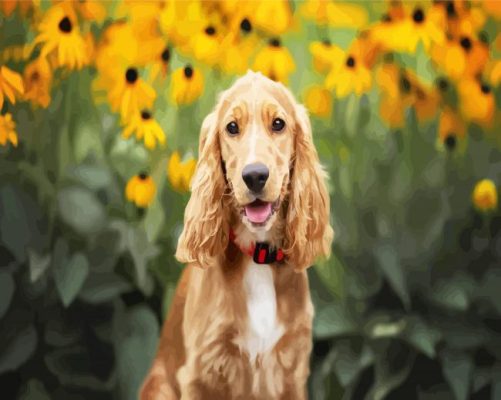 Adorable Cocker Spaniel paint by numbers