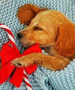 Cocker Spaniel Puppy paint by numbers