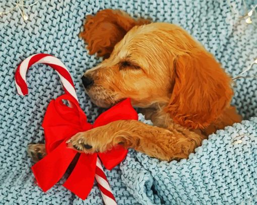 Cocker Spaniel Puppy paint by numbers