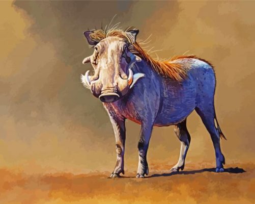 Common Warthog Animal paint by numbers