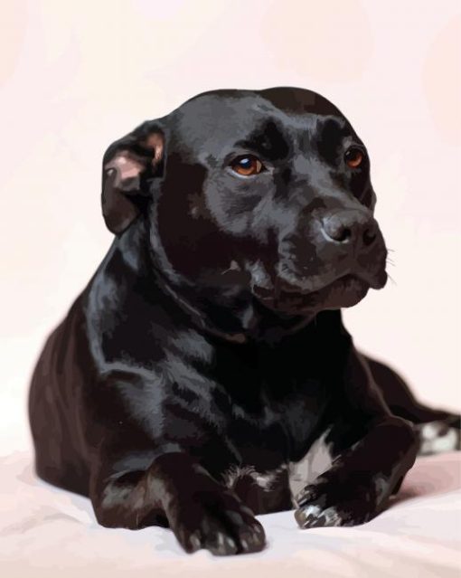 Dark Staffordshire Bull Terrier paint by numbers