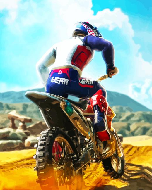 Dirt Bike Driver paint by numbers