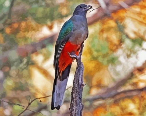 Aesthetic Eared Quetzal Bird paint by numbers