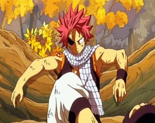 Aesthetic Natsu Dragneel paint by numbers