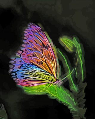 Fantasy Butterfly paint by numbers