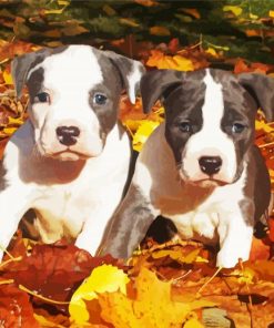 American Staffordshire Terrier Puppies paint by numbers