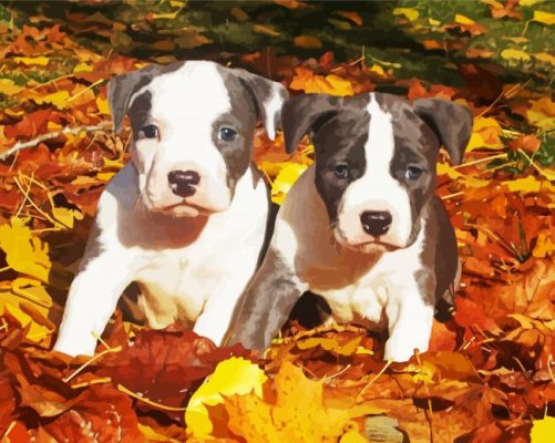 American Staffordshire Terrier Puppies paint by numbers