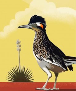 Illustration Roadrunner paint by numbers