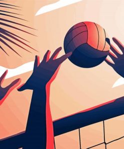 Volleyball Illustration paint by numbers