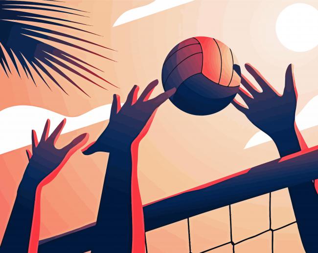 Volleyball Illustration paint by numbers