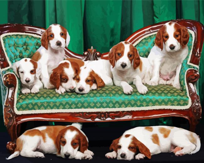 Irish Setters Dogs paint by numbers