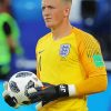 Jordan Pickford paint by numbers