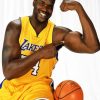 Shaquille O'Neal Basketball Player paint by numbers