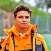 Aesthetic Lando Norris paint by numbers