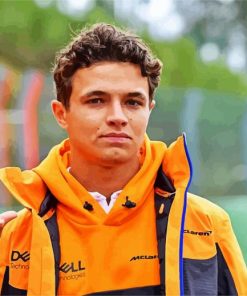 Aesthetic Lando Norris paint by numbers