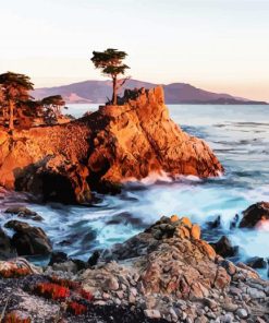 The Aesthetic Lone Cypress paint by numbers