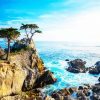 Lone Cypress Seascape paint by numbers