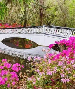 Magnolia Plantation And Gardens paint by numbers