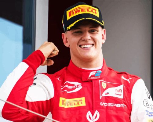 Car Driver Michael Schumacher paint by numbers