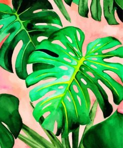 Monstera Green Leaves paint by numbers