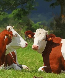 Brown And White Montbeliarde Cattle paint by numbers