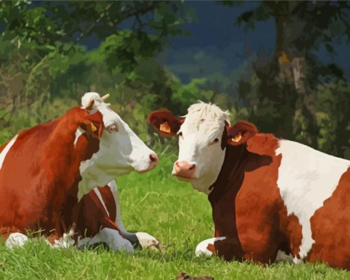 Brown And White Montbeliarde Cattle paint by numbers