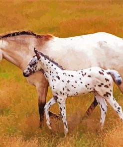 Mother And Little Appaloosa paint by numbers