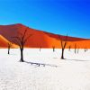Namibia Desert paint by numbers