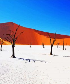 Namibia Desert paint by numbers