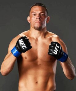 Nate Diaz UFC paint by numbers