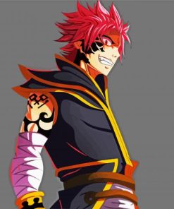 Natsu Dragneel paint by numbers