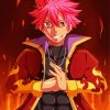 Natsu Dragneel Manga Anime paint by numbers