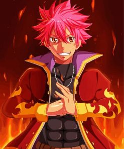 Natsu Dragneel Manga Anime paint by numbers