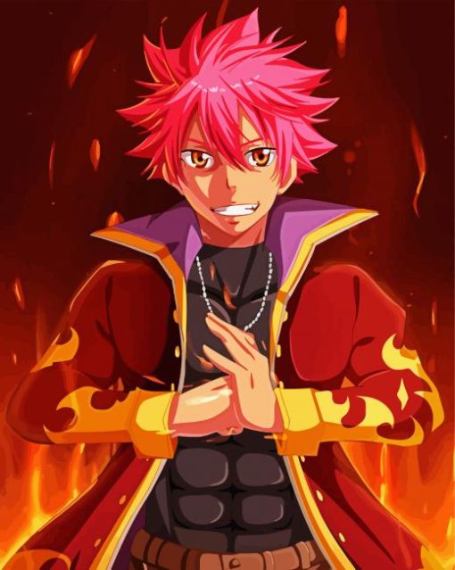 Natsu Dragneel Manga Anime paint by numbers