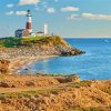 Montauk Lighthouse Museum paint by numbers