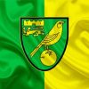 Norwich City Football Club paint by numbers