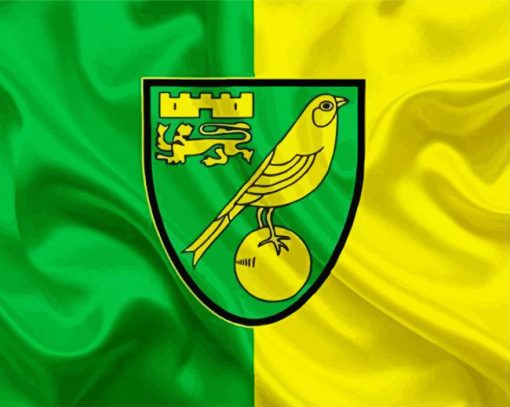 Norwich City Football Club paint by numbers