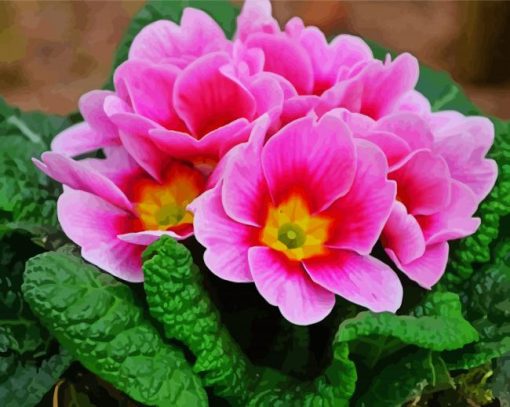 Pink Primrose Flower paint by numbers