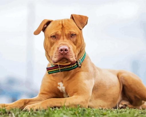 Aesthetic Pitbull Dog paint by numbers