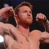 Canelo Álvarez Boxer paint by numbers