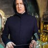 Aesthetic Professor Severus paint by numbers